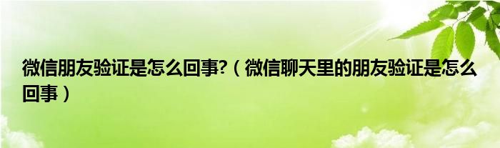 微信朋友验证是怎么回事?（微信聊天里的朋友验证是怎么回事）