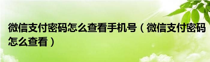 微信支付密码怎么查看手机号（微信支付密码怎么查看）