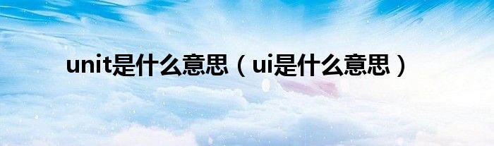 unit是什么意思（ui是什么意思）