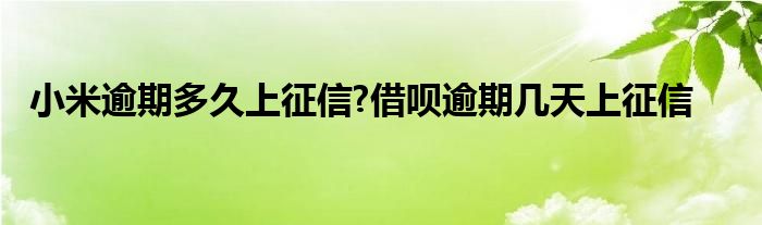 小米逾期多久上征信?借呗逾期几天上征信