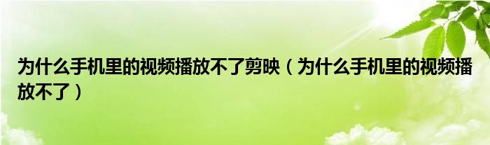 为什么手机里的视频播放不了剪映（为什么手机里的视频播放不了）