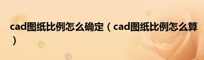 cad图纸比例怎么确定（cad图纸比例怎么算）