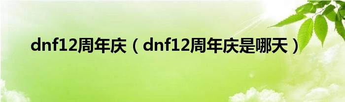 dnf12周年庆（dnf12周年庆是哪天）