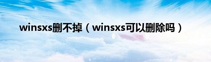 winsxs删不掉（winsxs可以删除吗）