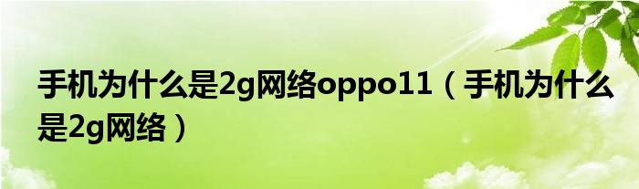 手机为什么是2g网络oppo11（手机为什么是2g网络）