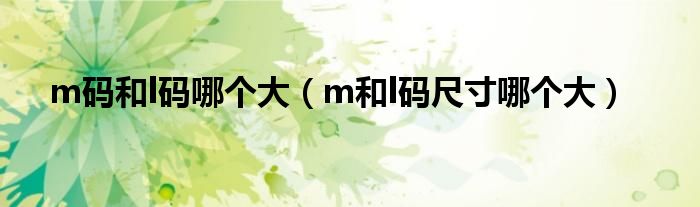 m码和l码哪个大（m和l码尺寸哪个大）