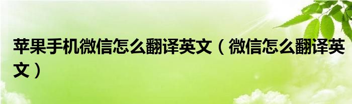 苹果手机微信怎么翻译英文（微信怎么翻译英文）