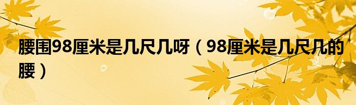 腰围98厘米是几尺几呀（98厘米是几尺几的腰）