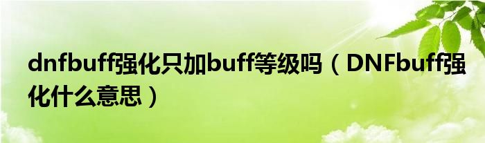 dnfbuff强化只加buff等级吗（DNFbuff强化什么意思）