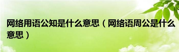 网络用语公知是什么意思（网络语周公是什么意思）