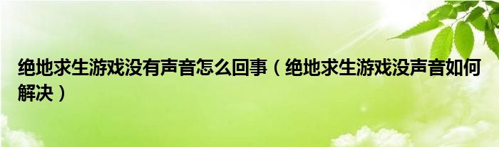 绝地求生游戏没有声音怎么回事（绝地求生游戏没声音如何解决）