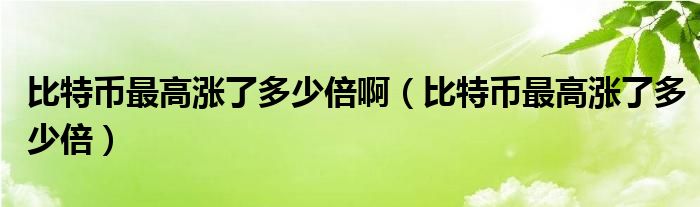 比特币最高涨了多少倍啊（比特币最高涨了多少倍）