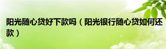 阳光随心贷好下款吗（阳光银行随心贷如何还款）