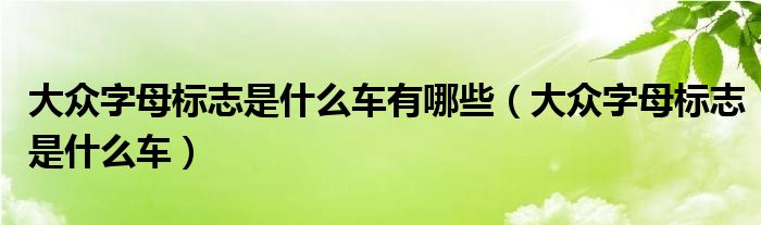 大众字母标志是什么车有哪些（大众字母标志是什么车）