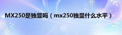 MX250是独显吗（mx250独显什么水平）