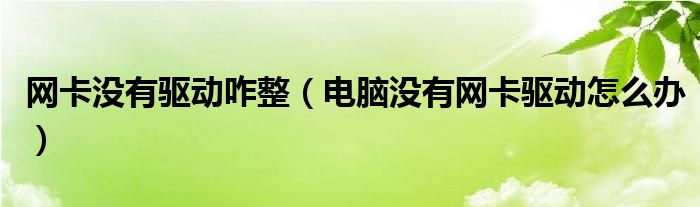 网卡没有驱动咋整（电脑没有网卡驱动怎么办）