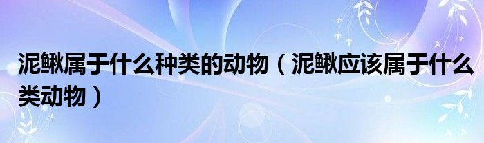 泥鳅属于什么种类的动物（泥鳅应该属于什么类动物）