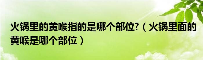 火锅里的黄喉指的是哪个部位?（火锅里面的黄喉是哪个部位）