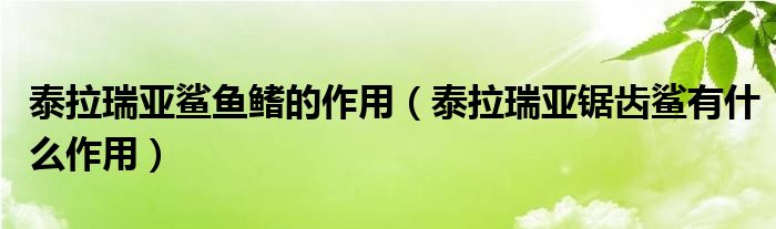 泰拉瑞亚鲨鱼鳍的作用（泰拉瑞亚锯齿鲨有什么作用）