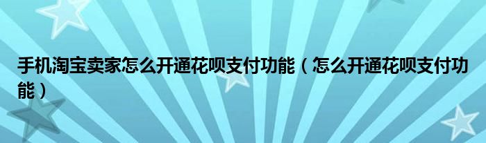 手机淘宝卖家怎么开通花呗支付功能（怎么开通花呗支付功能）