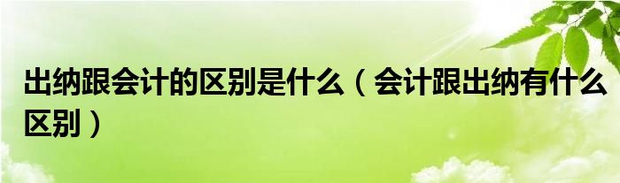 出纳跟会计的区别是什么（会计跟出纳有什么区别）