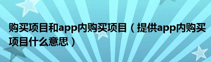 购买项目和app内购买项目（提供app内购买项目什么意思）