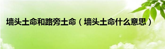 墙头土命和路旁土命（墙头土命什么意思）