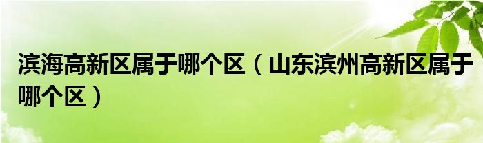 滨海高新区属于哪个区（山东滨州高新区属于哪个区）