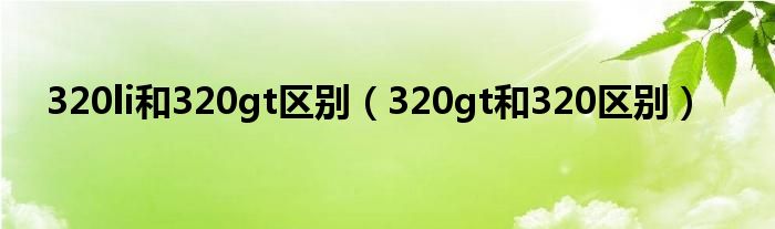 320li和320gt区别（320gt和320区别）