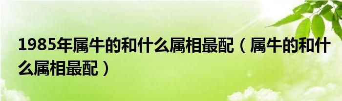 1985年属牛的和什么属相最配（属牛的和什么属相最配）