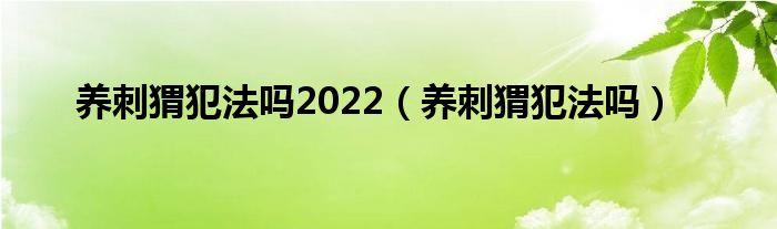 养刺猬犯法吗2022（养刺猬犯法吗）