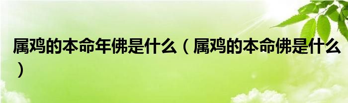 属鸡的本命年佛是什么（属鸡的本命佛是什么）