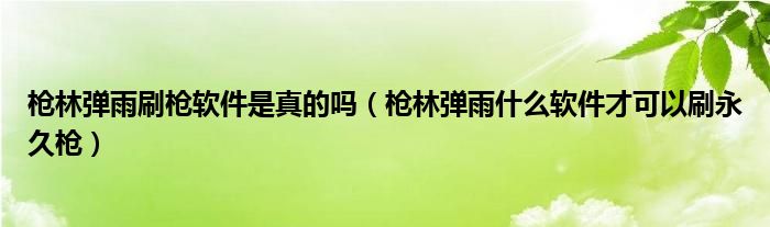 枪林弹雨刷枪软件是真的吗（枪林弹雨什么软件才可以刷永久枪）