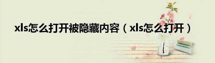 xls怎么打开被隐藏内容（xls怎么打开）