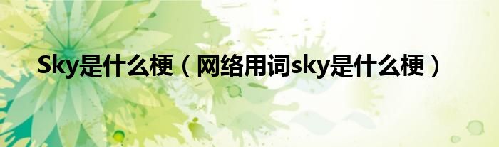 Sky是什么梗（网络用词sky是什么梗）