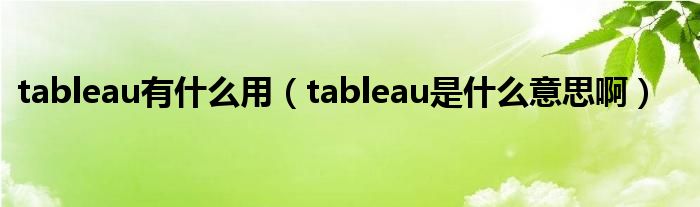 tableau有什么用（tableau是什么意思啊）