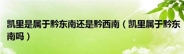 凯里是属于黔东南还是黔西南（凯里属于黔东南吗）