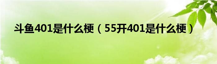 斗鱼401是什么梗（55开401是什么梗）