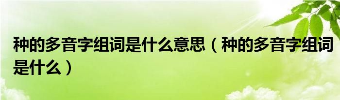 种的多音字组词是什么意思（种的多音字组词是什么）