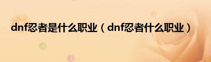 dnf忍者是什么职业（dnf忍者什么职业）