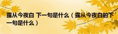 露从今夜白 下一句是什么（露从今夜白的下一句是什么）