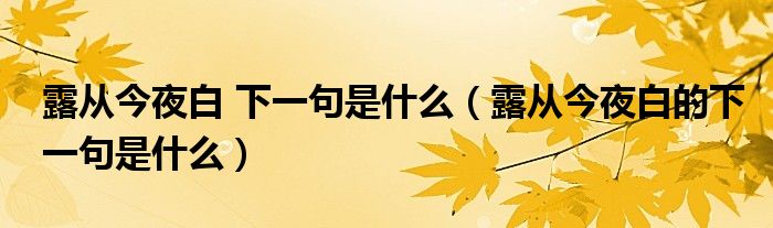 露从今夜白 下一句是什么（露从今夜白的下一句是什么）