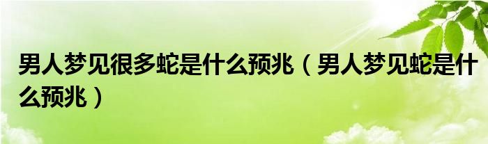 男人梦见很多蛇是什么预兆（男人梦见蛇是什么预兆）