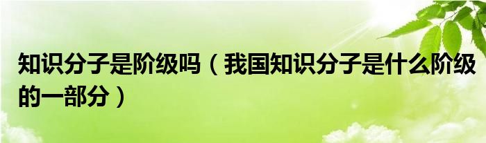 知识分子是阶级吗（我国知识分子是什么阶级的一部分）