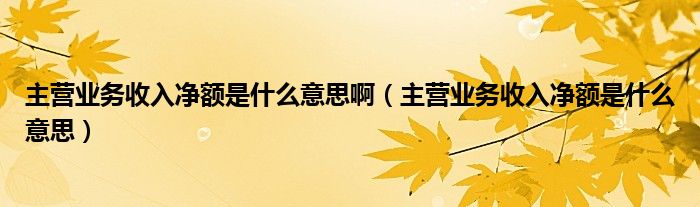 主营业务收入净额是什么意思啊（主营业务收入净额是什么意思）