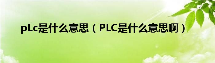 pLc是什么意思（PLC是什么意思啊）