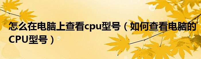 怎么在电脑上查看cpu型号（如何查看电脑的CPU型号）