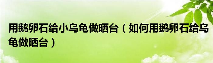 用鹅卵石给小乌龟做晒台（如何用鹅卵石给乌龟做晒台）