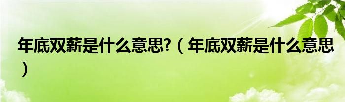 年底双薪是什么意思?（年底双薪是什么意思）