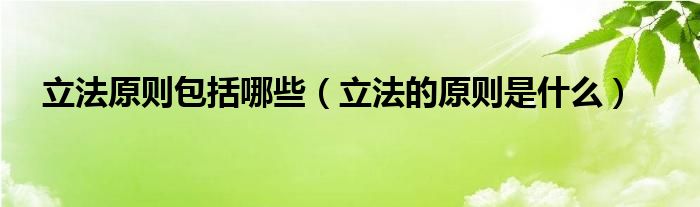 立法原则包括哪些（立法的原则是什么）